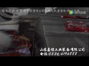  哈爾濱秋林食品（pǐn）巴氏殺菌烘幹線（xiàn）