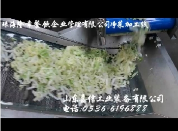 珠海隆（lóng）幸餐飲淨（jìng）菜加工線