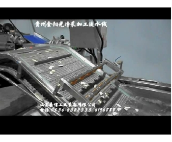 安徽溜味族（zú）食品破袋挑選洗袋烘幹線