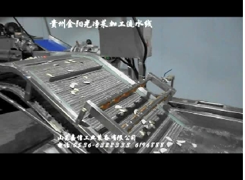 安徽溜味族食品破袋挑選洗袋烘幹線