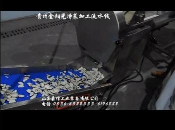 貴州金陽光淨菜加工流（liú）水線