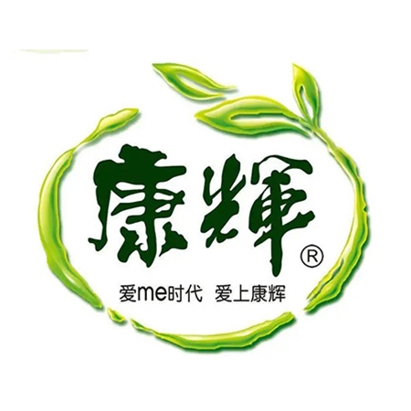 廣東康輝集團有（yǒu）限公司